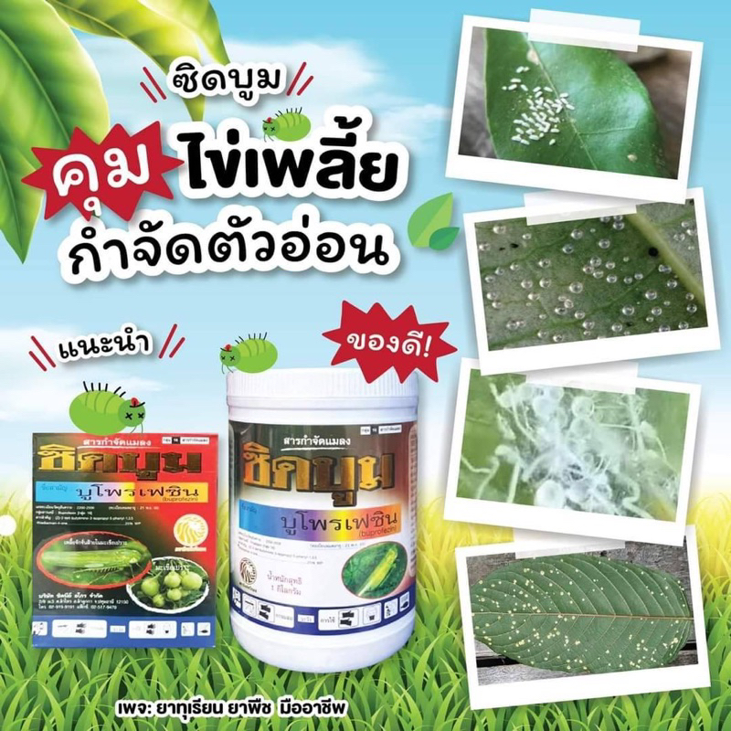 ซิดบูม(บูโพรเฟซิน25%wp)