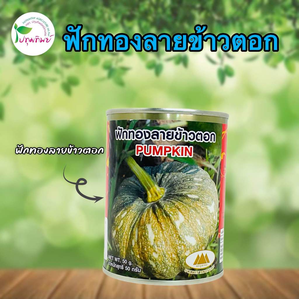 เมล็ดพันธุ์ฟักทองลายข้าวตอก ตราภูเขาทอง ขนาด 50 กรัม