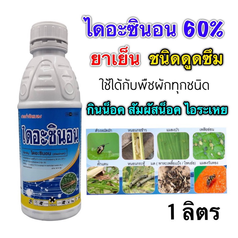 ไดอะซินอน 60% -1 ลิตร เพลี้ยอ่อน เพลี้ยไฟ เพลี้ยหอย แมลงวันทอง เพลี้ยแป้ง หนอนเจาะฝักข้าวโพด หนอนม้วนใบ