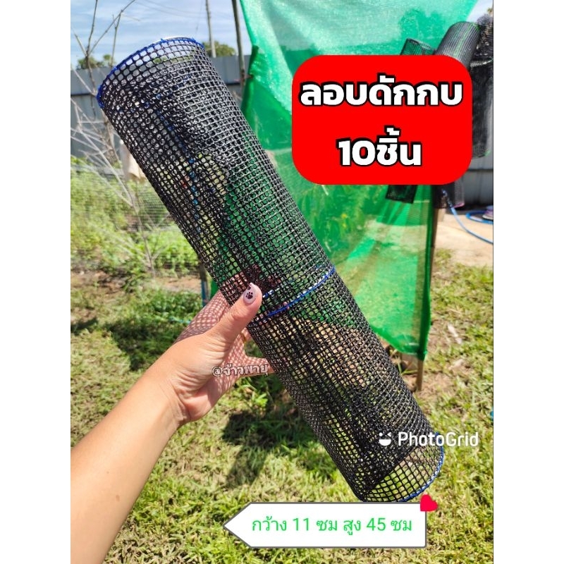 ลอบดักกบซิ่ง แบบยาว10ชิ้น