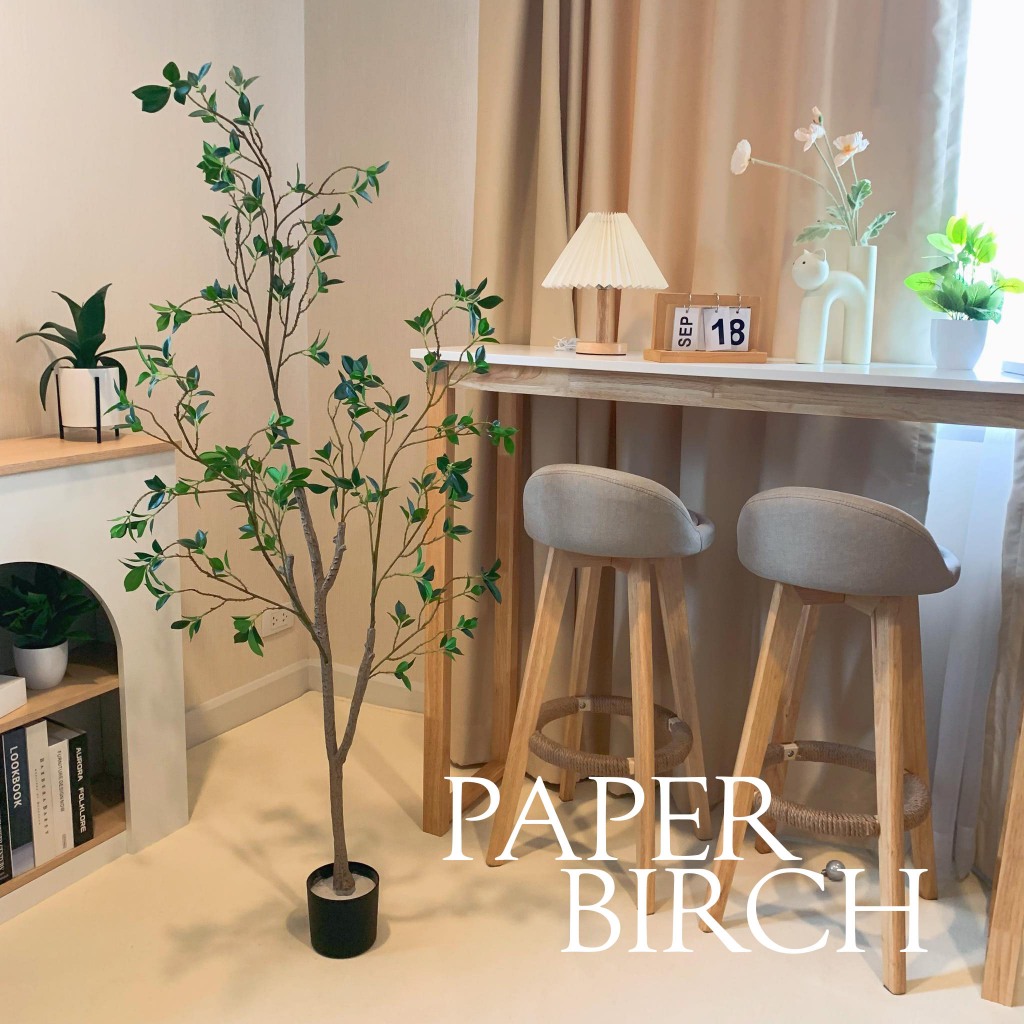Paper Birch Tree ต้นเปเปอร์บริช ต้นไม้ปลอมสำหรับตกแต่งบ้าน ออฟฟิศ สไตล์มินิมอล (สินค้าพร้อมส่งจากไทย)