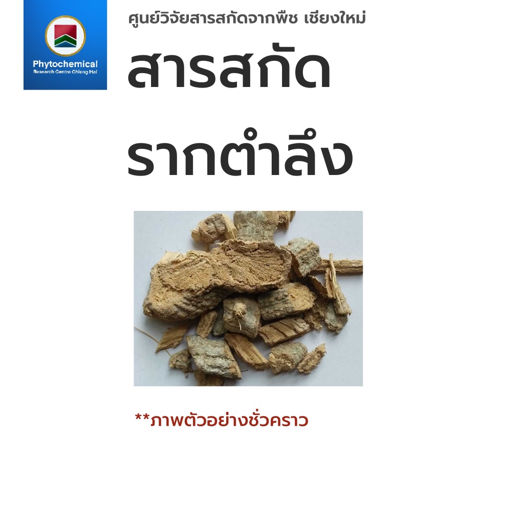 สารสกัดรากตำลึง(แบบน้ำ)