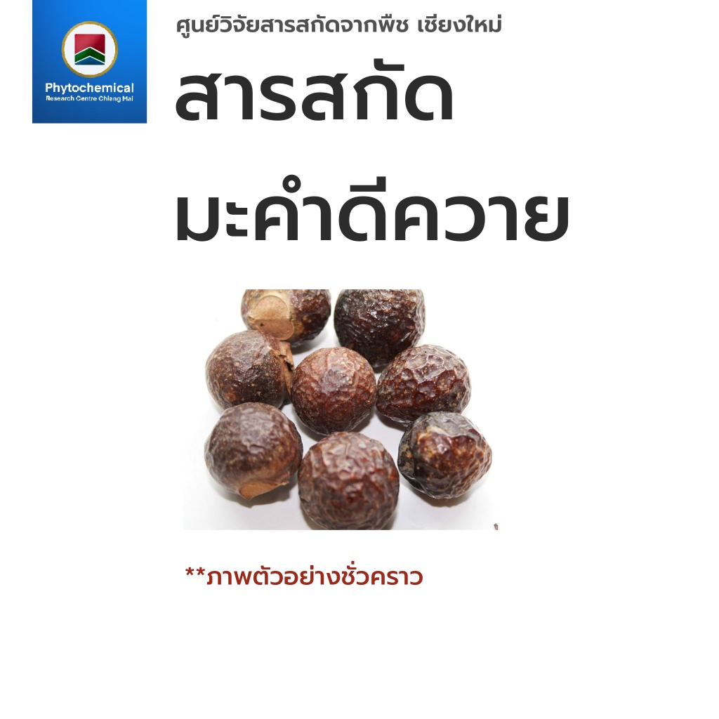 สารสกัดมะคำดีควาย(แบบน้ำ)