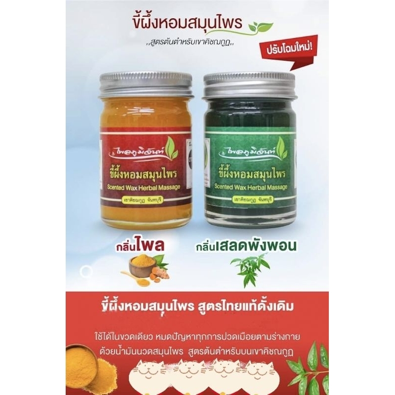 น้ำมันหม่องไพลและน้ำมันหม่องเสลดพังพอน Beeswax Balm (Acanthaceae) ,(Zingiber cassumunar)ไพลภูมิจันท์  แบบขี้ผึ้ง