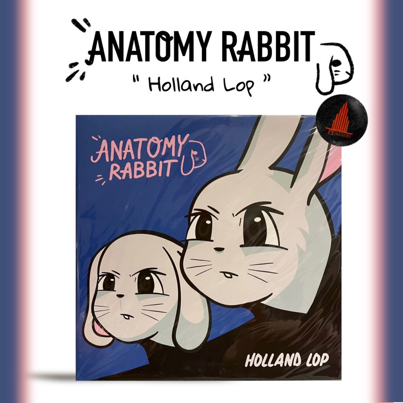 แผ่นเสียง ANATOMY RABBIT ปั้มแรก