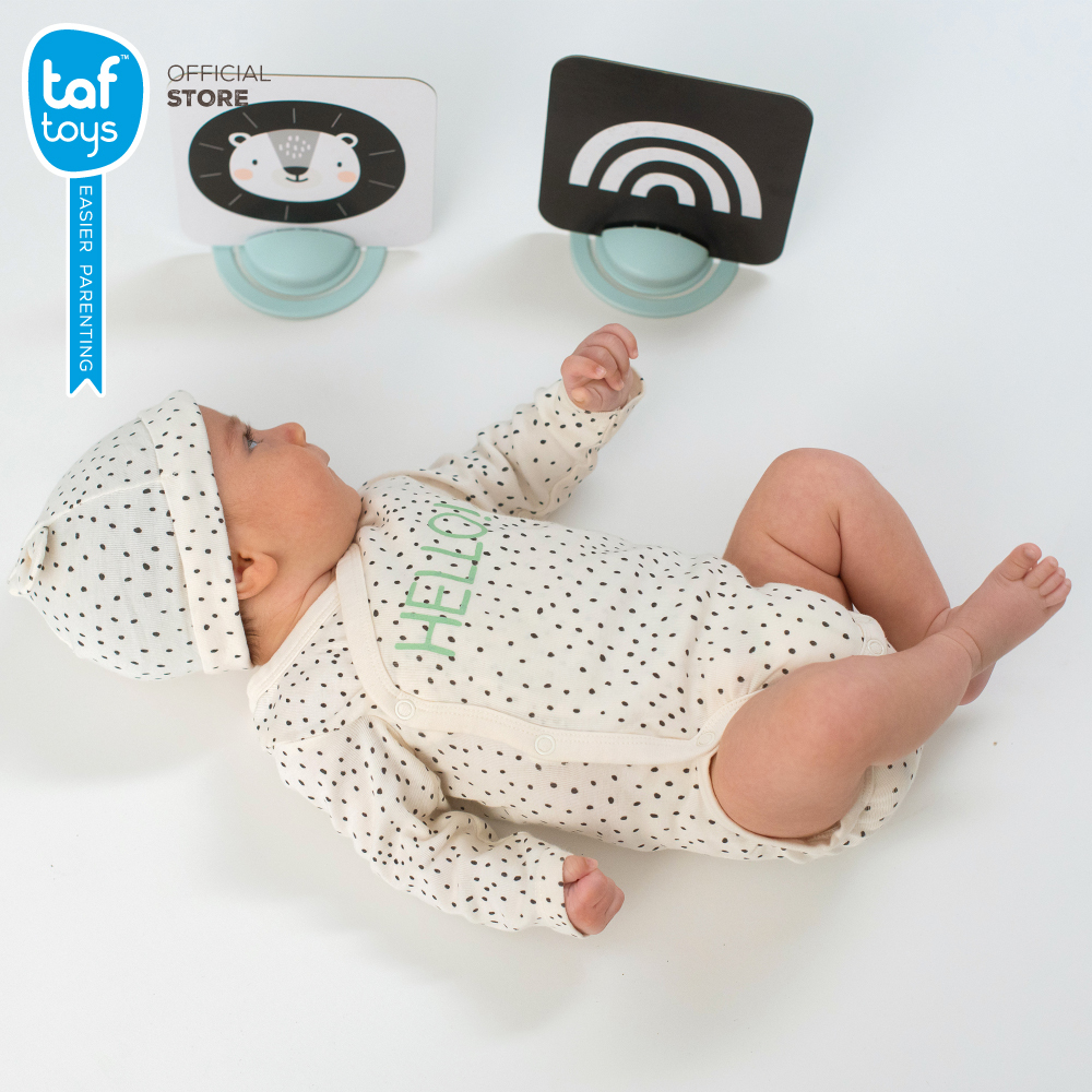 Taf Toys บัตรรูปภาพ My 1st Tummy-time Cards ของเล่นเสริมพัฒนาการ 0-3 ขวบ รูปที่ 2