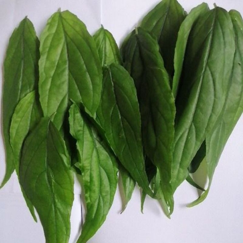 เสลดพังพอนตัวเมีย​ใบสด100 กรัม​ 80 บาท, ห่อกระดาษ ​