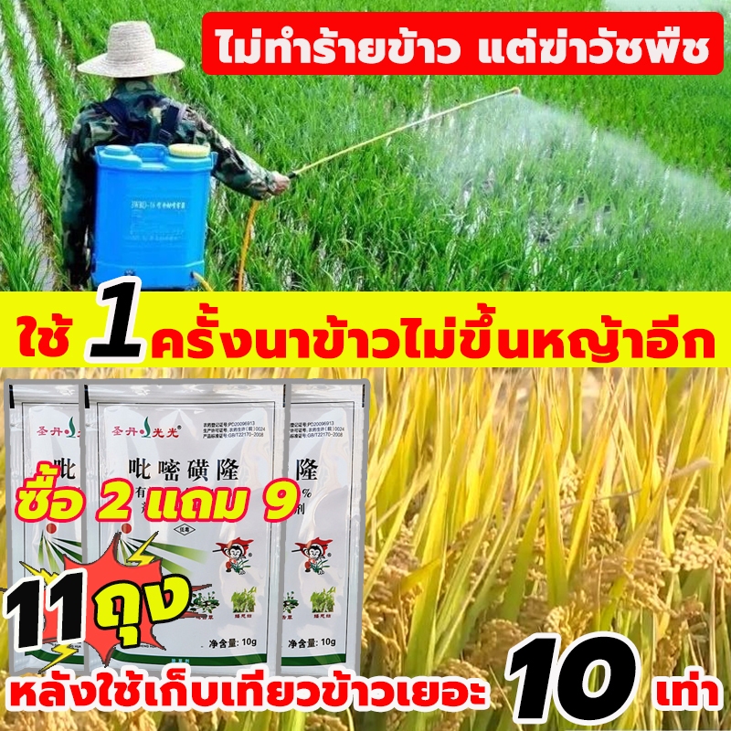 ซื้อ1ฟรี2 ใช้1ครั้ง365วันไม่ขึ้นหญ้า ยาคุมหญ้า ยาฆ่าหญ้าในนาข้าว ได้100% ยาคุมหญ้าข้าว ชีวภาพ ดูดซึม เผาไหม้