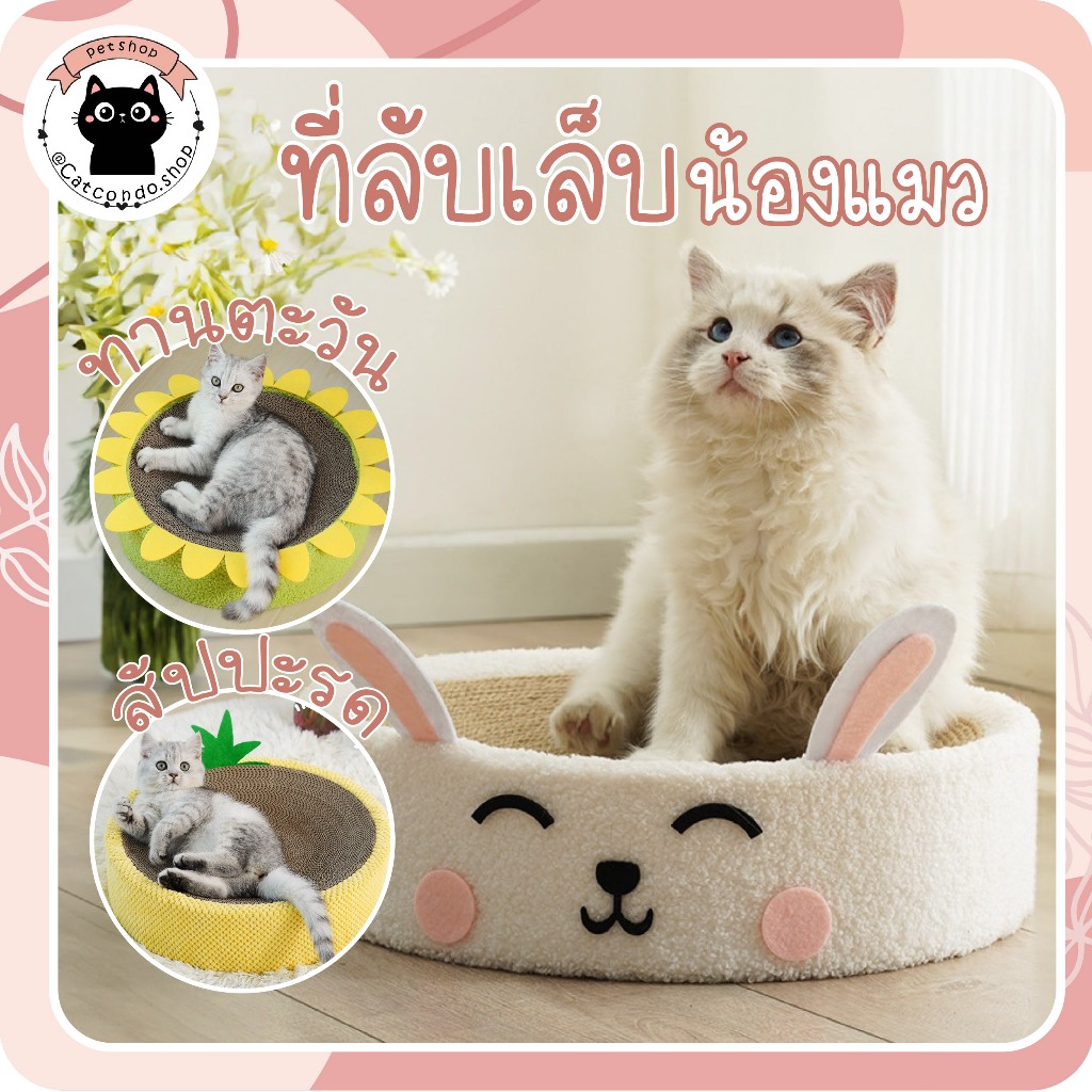 🌵 วงกลมลับเล็บ อ่างลับเล็บแมว รุ่นหนา ที่ลับเล็บแมว ลายดอกไม้ สัปปารถโซฟาที่ลับเล็บแมว กระดาษลูกฟูก 🌵