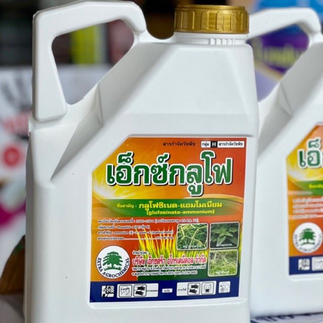 เอ็กซ์กลูโฟ 4ลิตร กำจัดวัชพืชทั้งใบแคบและใบกว้าง ตายเรียบ