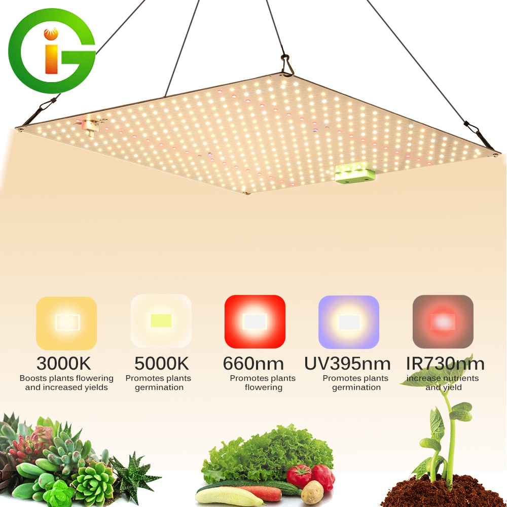 รับประกัน ไฟปลูกต้นไม้ LM281B LED Grow Light Full Spectrum 650W/850W/1200W/1500W สำหรับดอกไม้เรือนกระจกปลูกพืช