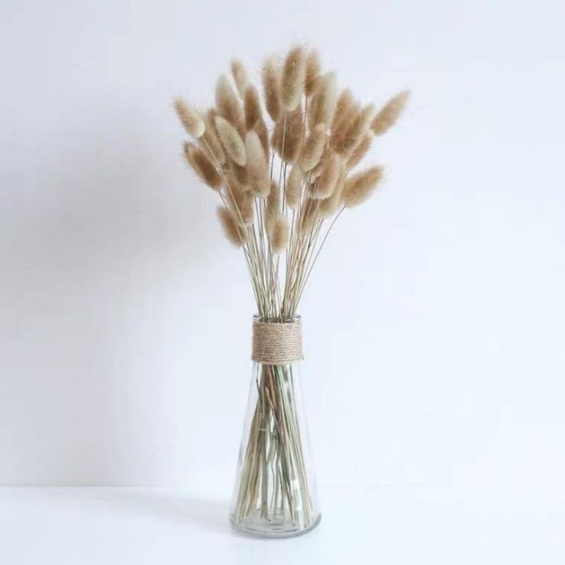 ถูกที่สุด!  ดอกหญ้าหางกระต่ายแห้ง สีธรรมชาติ ย้อมสี 15-20 ดอก สำหรับตกแต่ง มินิมอล ร้านกาแฟ ทำงานฝีมือ diy