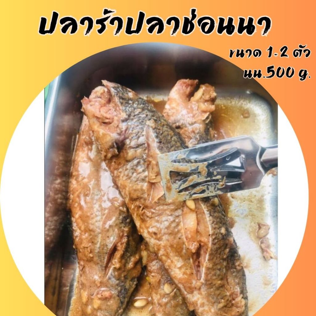 ปลาร้าปลาช่อนตัวใหญ่ เนื้อแน่น ทำสดใหม่ตลอดๆปลาท้องนา ปลอดสารกันเสีย และสารแต่งกลิ่น หอมข้าวขั้ว (นน.500 g.)