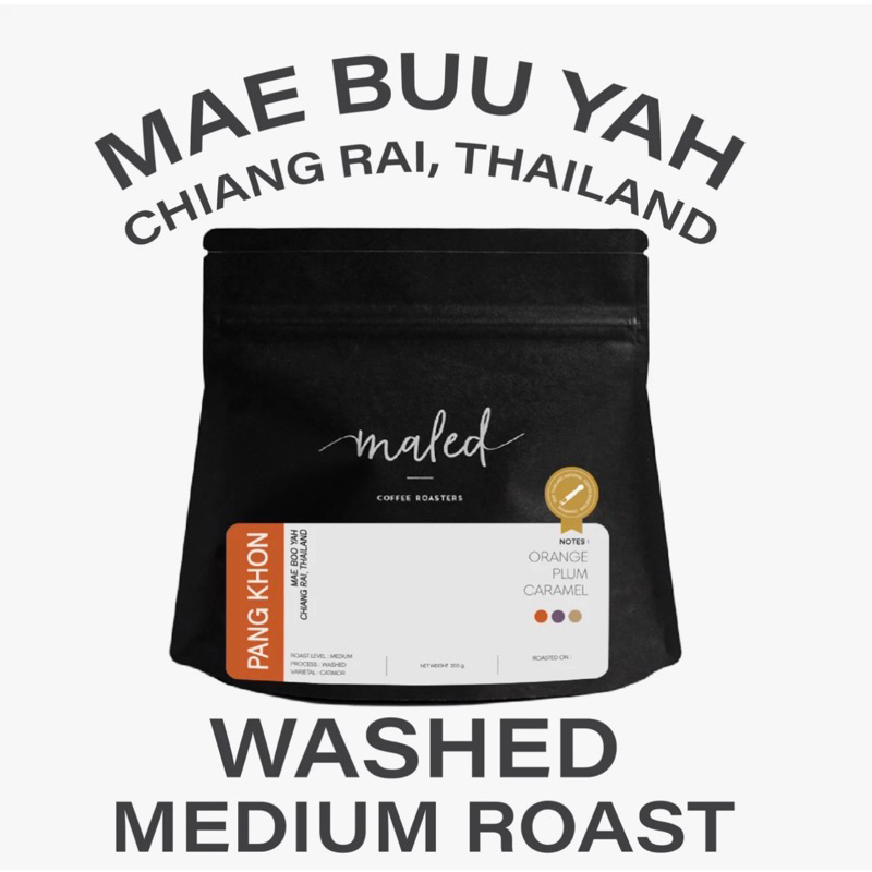 เมล็ดกาแฟคั่วกลางปางขอน Washed Process