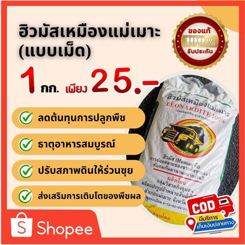 ฮิวมัสเม็ดแม่เมาะ แท้ 100% แบ่งขาย 1 กก.