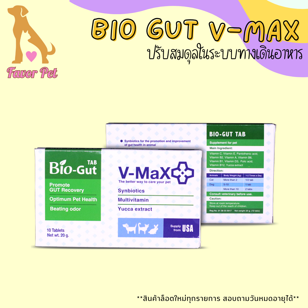 Bio Gut V-max ปรับสมดุลย์ระบบทางเดินอาหาร ช่วยแก้ปัญหาท้องเสีย 10 เม็ด/กล่อง