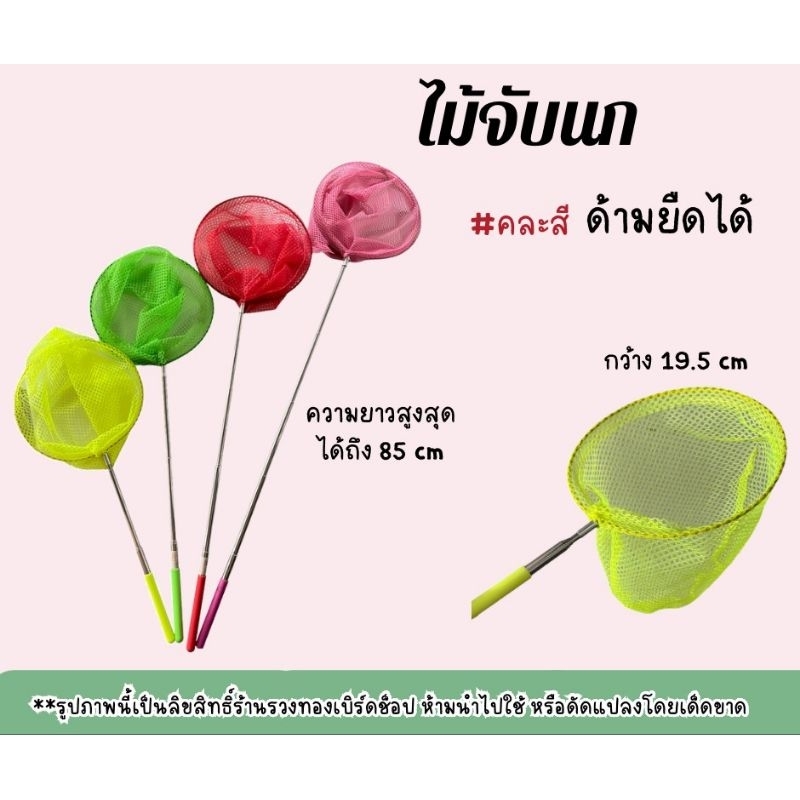 ไม้จับนกปรับความยาวได้ สวิงจับนก ไม้จับนกยึดหดได้ใช้สำหรับจับนก ยืดหดได้ถึง 85 ซม.ตาข่ายกว้าง19 ซม. พร้อมส่ง