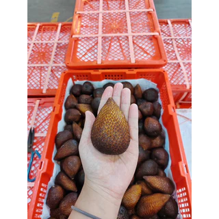 สละอินโดแท้ นำเข้า (1kg)หวานกรอบ ปอกง่ายไม่มีหนาม พร้อมส่ง