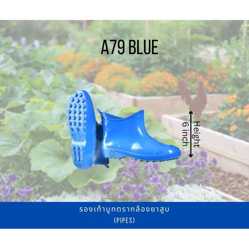 รองเท้าบูทกันน้ำรุ่นA79สีฟ้าน้ำตาลเขียวความสูง6นิ้วตรากล้องยาสูบเหมาะกับลุยน้ำท่วมแค่ข้อเข่าเดินตลาดทำความสะอาดทั่วไป