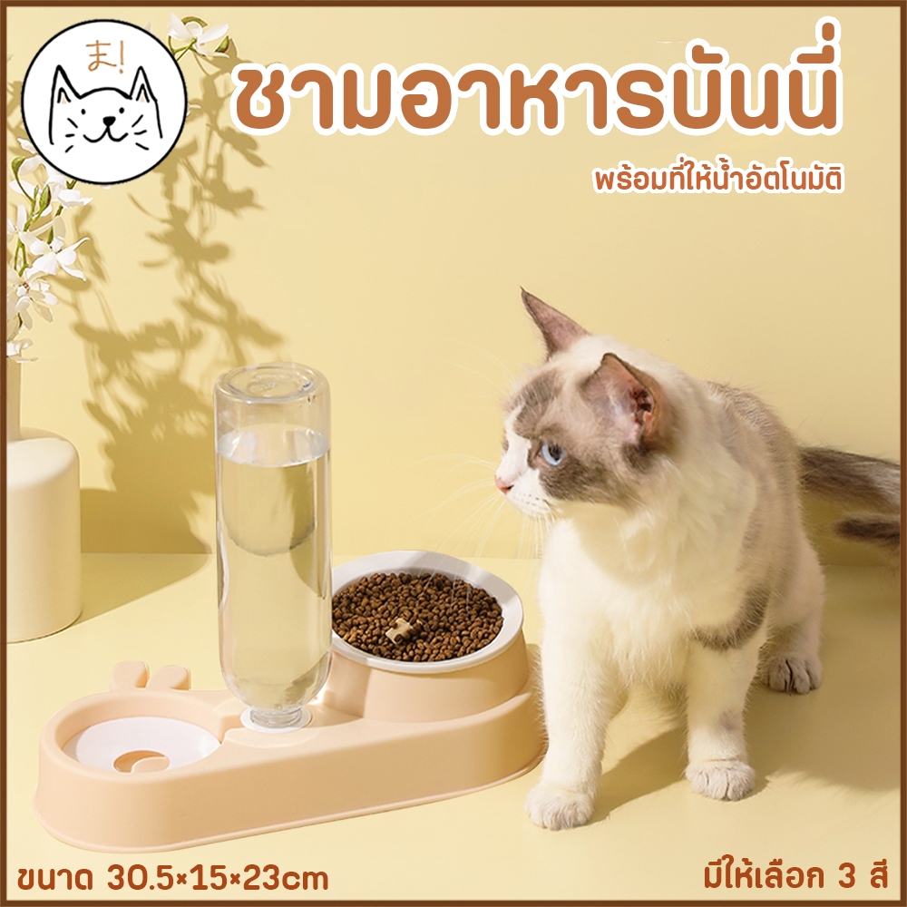 KUMAま ชามพร้อมที่ให้น้ำอัตโนมัติ บันนี่ ชามอาหารสัตว์เลี้ยง ชามข้าว สุนัข แมว