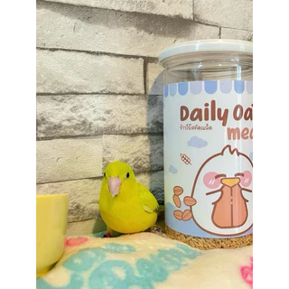Daily oat meal ข้าวโอ๊ตสูตรบ้านมะลิ สำหรับนกแก้วขนาดเล็ก-กลาง