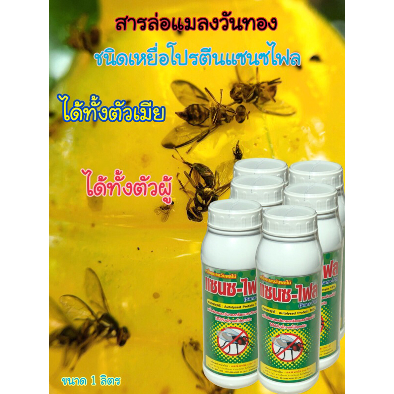 โปรตีนดักแมลงวันทองแซนซไฟลแพ็ค6ขวด