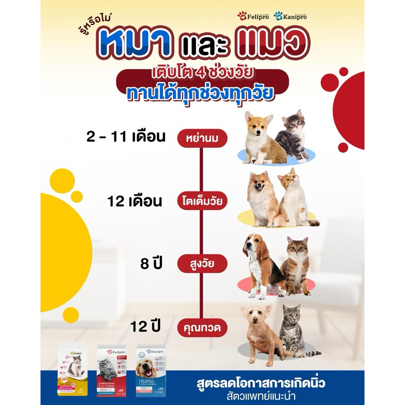 (ถุงสีแดง แพคเกจใหม่) FELIPRO Seafood flavour (1kg) เฟลิโปร อาหารแมว สูตรควบคุมปริมาณเกลือแร่ ลดโอกาสการเกิดนิ่ว ราคา ถูกที่สุด ดีลบีเคเค แกลเลอรีภาพที่ 4