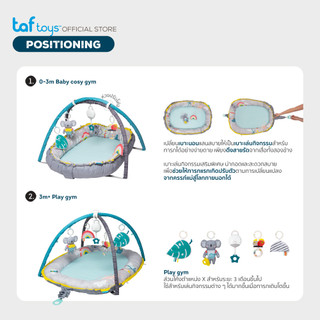 Taf Toys เพลยิม ที่นอนเด็กแรกเกิด Koala Musical Cosy Gym ของเล่นเสริมพัฒนาการ 0 เดือน ขึ้นไป รูปที่ 5