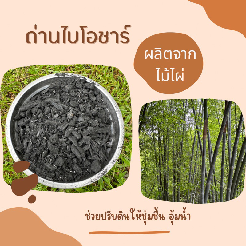Biochar | ถ่านไบโอชาร์จากไม่ไผ่ บรรจุ 1 ก.ก.