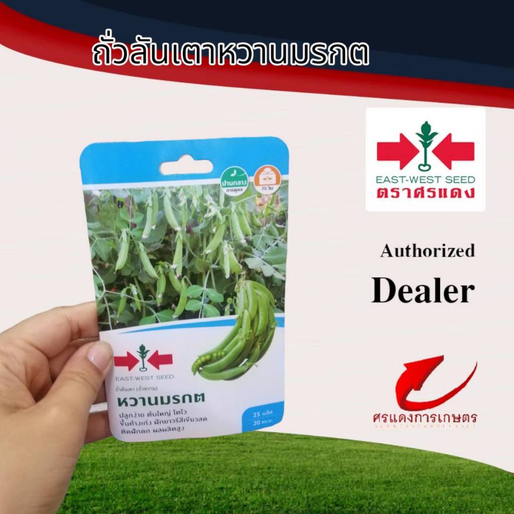 ผักซองศรแดงถั่วลันเตาหวานมรกต n