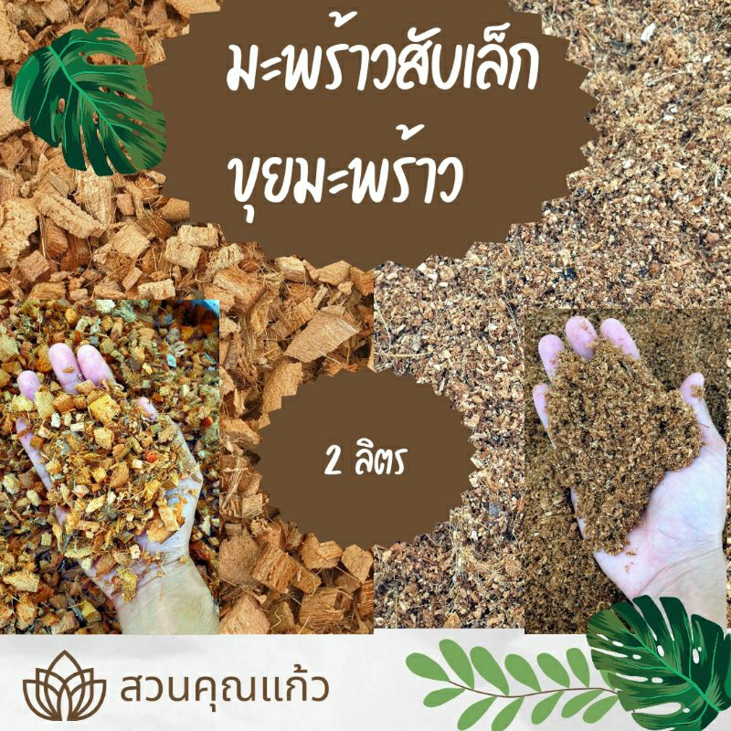 กาบมะพร้าวสับเล็ก ขุยมะพร้าว ผสมดินปลูก รองก้นกระถาง