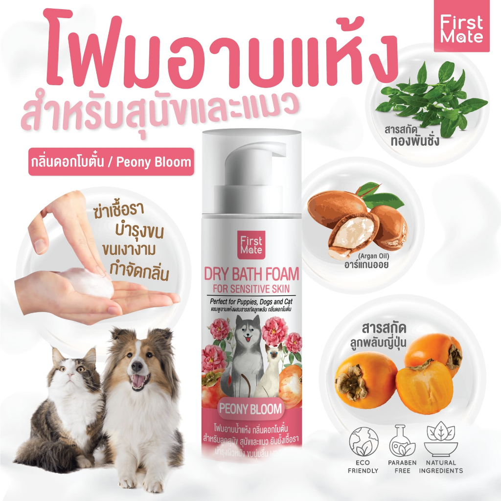 โฟมอาบแห้ง (สุนัข/แมว) ลูกพลับญี่ปุ่น กลิ่นดอกโบตั๋น 200ml. / FirstMate Dry Bath Foam Peony Bloom