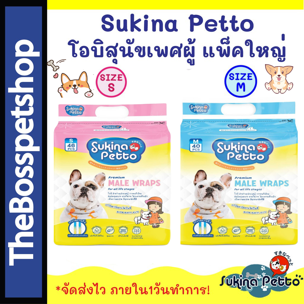 Sukina Petto Male Wrap โอบิสำหรับสุนัขเพศผู้  แพ็คใหญ่  Sukina 🐶 รูปที่ 2