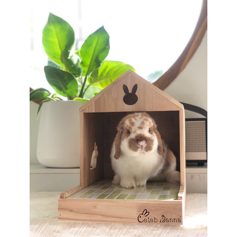  พร้อมส่ง บ้านเย็นคลายร้อนBunny Home บ้านเย็นกระต่าย แมว น้องหมา แกสบี้ แพรี่ด็อก  ที่นอนสัตว์เลี้ยง  เตียงเย็นคลายร้อน