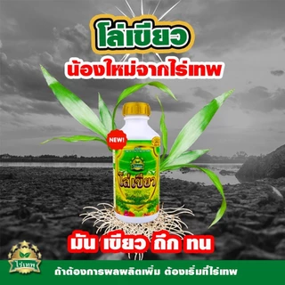 ปุ๋ยโล่เขียว ใบเขียวเข้ม ใบมันเงา ทนโรค ทนแล้ง ปุ๋ยน้ำใช้ฉีดพ่นทางใบ ขนาด 1ลิตร 1000 ซีซี ผลิตภัณฑ์ใหม่จากไร่เทพ