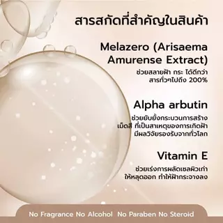 ครีมทาฝ้า ลดฝ้า กระ จุดด่างดำ หน้าขาว 15g Anti Melasma Cream // Alpha Arbutin 2.0%