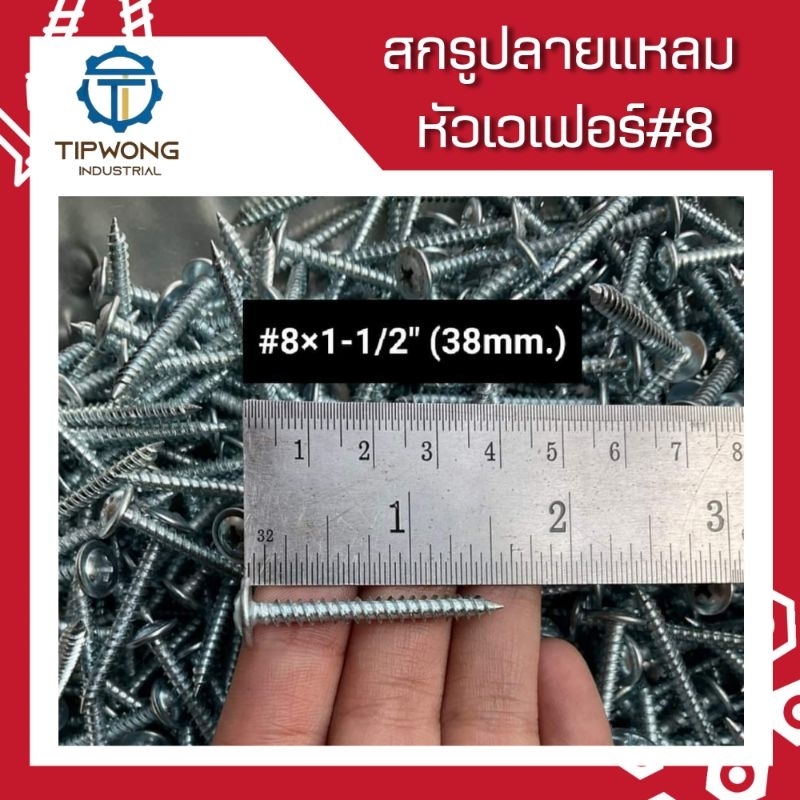 (ยกกล่อง) สกรูปลายแหลม หัวเวเฟอร์ชุบขาว #8 ราคา ถูกที่สุด ดีลบีเคเค แกลเลอรีภาพที่ 7