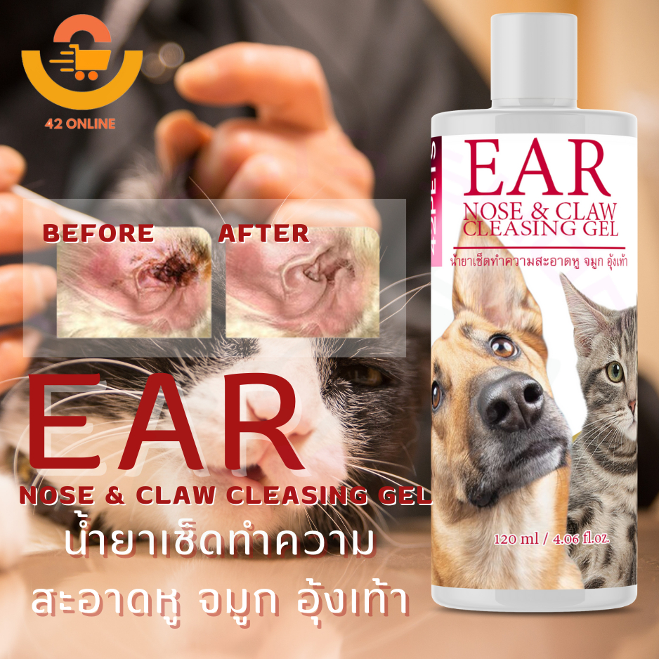 42PETS HomHom เจลทำความสะอาดหูและจมูก 100ml