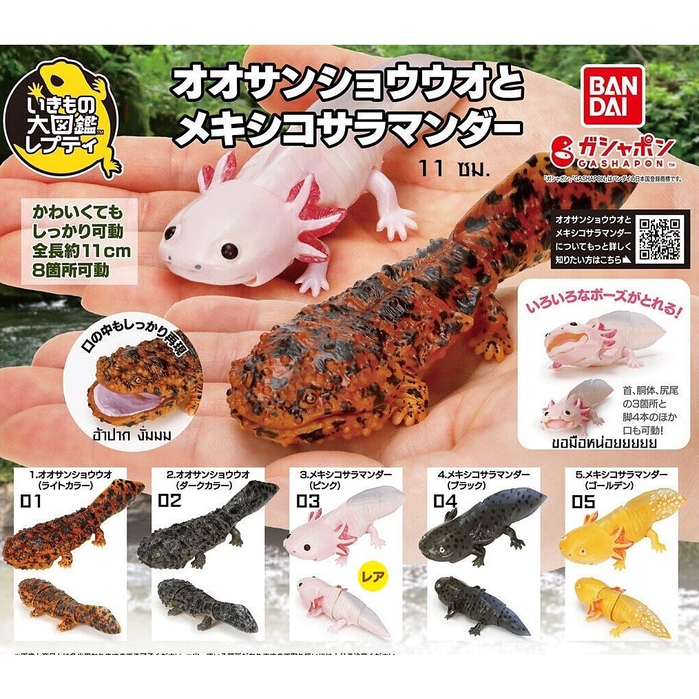 (มีของพร้อมส่ง) กาชาปองซาลาแมนเดอร์ยักษ์-หมาน้ำ Gachapon Bandai Ikimono Encyclopedia Giant Salamander Axolotl Mini