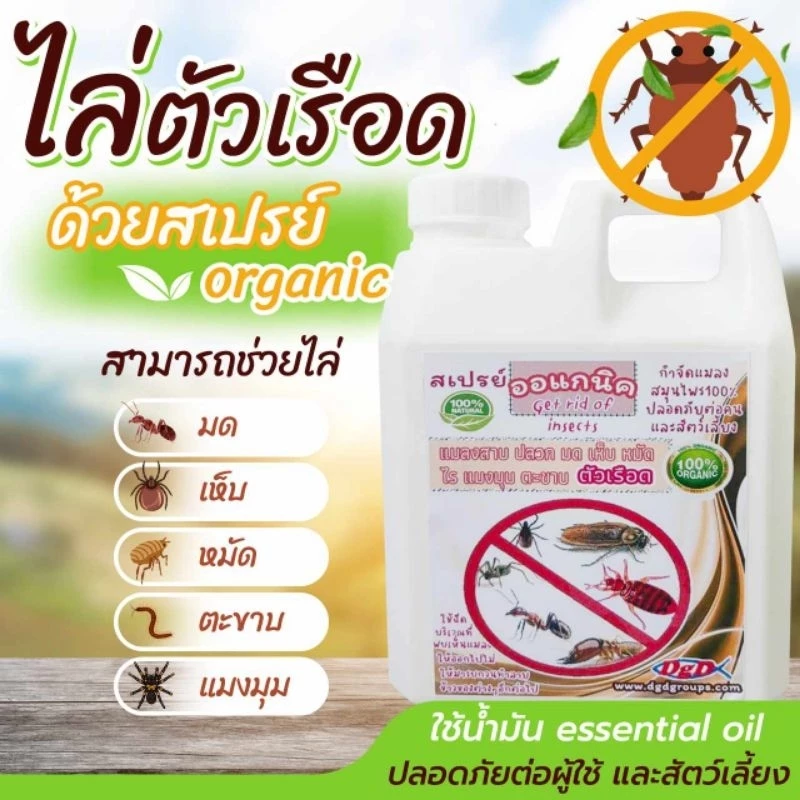 สเปรย์ไล่ ตัวเรือด (ขนาด ลิตร) (RR-1) สมุนไพรป้องกันตัวเรือด ตัวริ้น ตัวไร ไรฝุ่น ตัวเหา เห็บหมัดบนที่นอน โซฟา