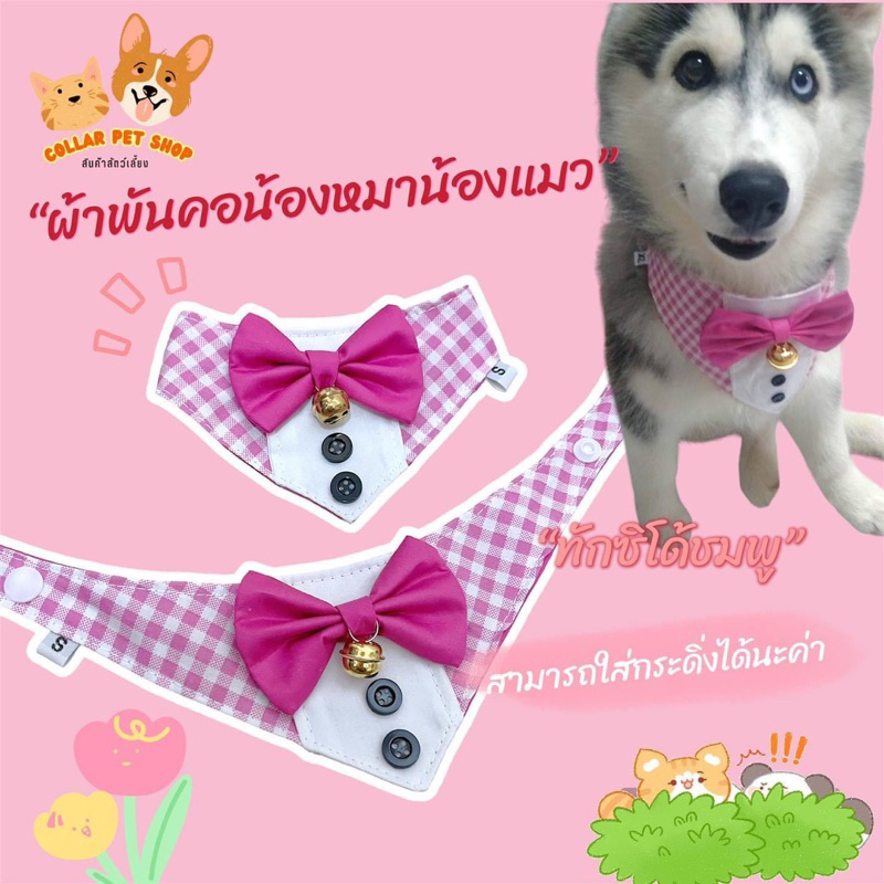 ปลอกคอผ้าพันคอน้องหมาน้องแมว