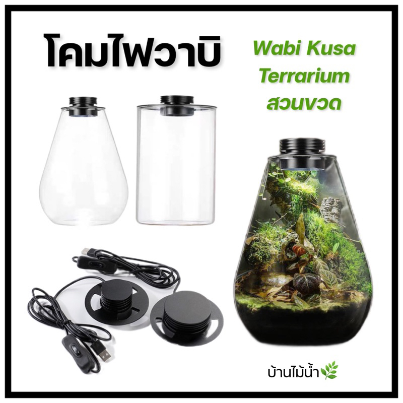 Terrarium *เฉพาะไฟ* โคมไฟวาบิ Wabi Kusa โคมไฟ เทอร์ราเรียม มีรูเปิดปิด สวนขวด โหลแก้ว ไม้ชื้น Cactus