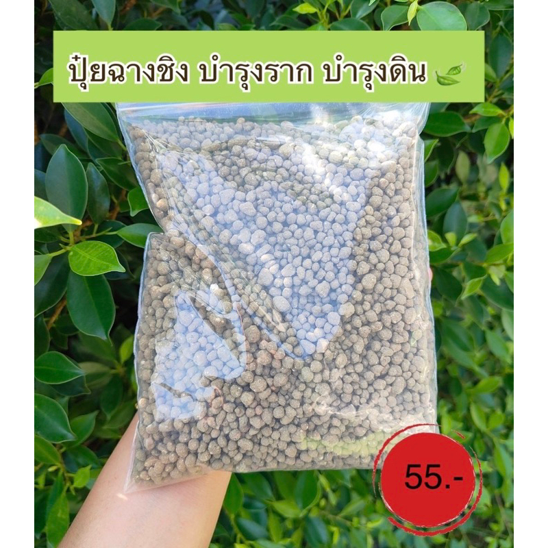 🌹ฉางชิง ปุ๋ยบำรุงราก บำรุงดิน ธาตุรอง ธาตุเสริม ปุ๋ยใส่กุหลาบ บำรุงกุหลาบ เร่งกระโดง แตกกิ่ง เพิ่มอากาศในดิน🍃