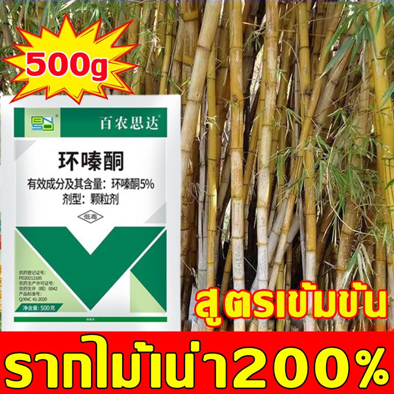 ยาฆ่าต้นไม้ ใหญ่ สารกําจัดกอไผ่ 500g กำจัดต้นไม้และไผ่ ให้หมดจดยาฆ่ากอไผ่ ยาฆ่าตอไม้ สารกำจัดต้นไผ่