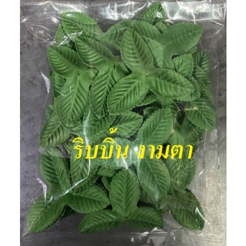 ใบผ้า 3 แฉก/ใบผ้า 6 แฉก 100 ใบ