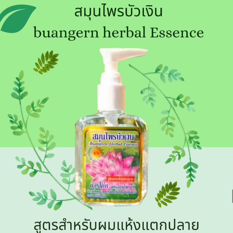 ‼️ถูกที่สุด‼️รวมทุกสูตร สมุนไพรบัวเงิน แฮร์โค้ท บำรุงผม/สูตรดั้งเดิม/ผมทำสี/ผมยาวตรง/ผมแห้งแตกปลาย/ผมขาดหลุดร่วง/ผมดกดำ - รูปที่ 5