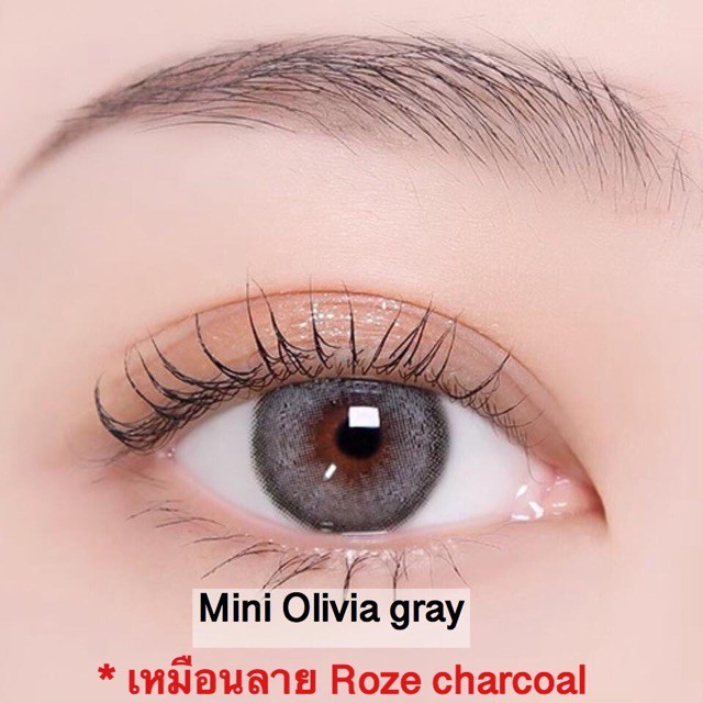 คอนแทคเลนส์ Mini Olivia Brown / Light Brown / Gray (Kitty Kawaii) ขนาดมินิ 🌷 ลายฮิต ขายดีมาก [ค่าสายตา-400 ถึง -1000] - รูปที่ 4