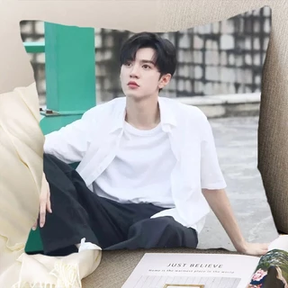 Pre Order🌈 หมอน เฉินเจ๋อหย่วน ChenZheyuan แอบรักให้เธอรู้ ‼️รอของ25-30วัน