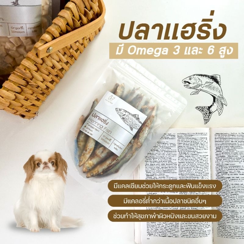 ปลาเเฮริ่ง ฟรีซดรายย