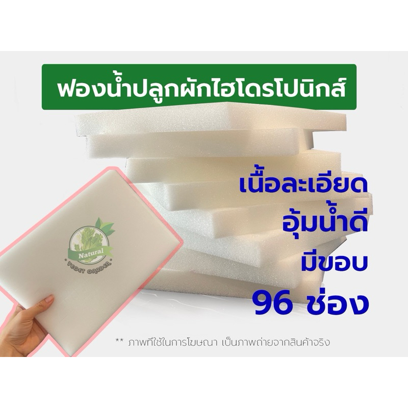 ฟองน้ำปลูกผัก ฟองน้ำปลูกผักไฮโดรโปนิกส์ ฟองน้ำเพาะต้นกล้า 96 ช่อง